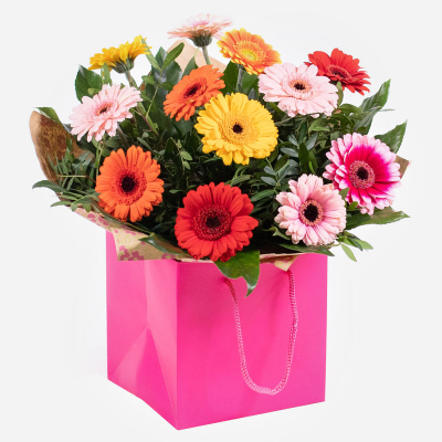 Splash of Colour - A vibrant gerbera posy hand-tied featuring a mix of colours carefully selected by the local florist. Hand-delivered in a gift bag or box.