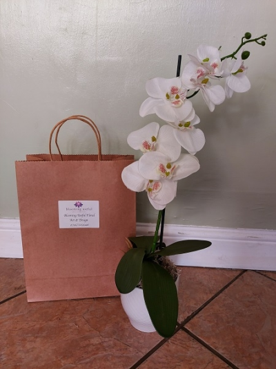 Artificial Orchid Kit - Everything you need to complete this fabulous single stem Phalaenopsis Orchid design.  Kit includes all the materials you need, including step by step instructions.