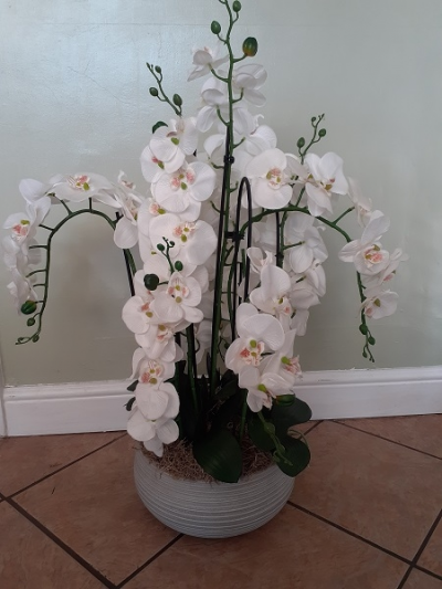 Artificial Orchid - Approx 6/8 stems of artificial white Phalaenopsis orchids, complete with leaves and stems, arranged in a round container.