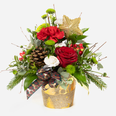 Starlight - Show your love this Christmas with this wonderful collection of wintry flowers arranged  in a co ordinating pot.